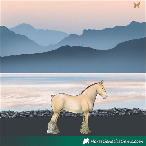 Horse Color:Silver Amber Cream Champagne Pearl Dun Sabino 