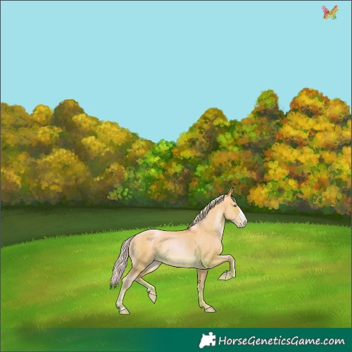Horse Color:Silver Amber Cream Champagne Pearl Dun Sabino 