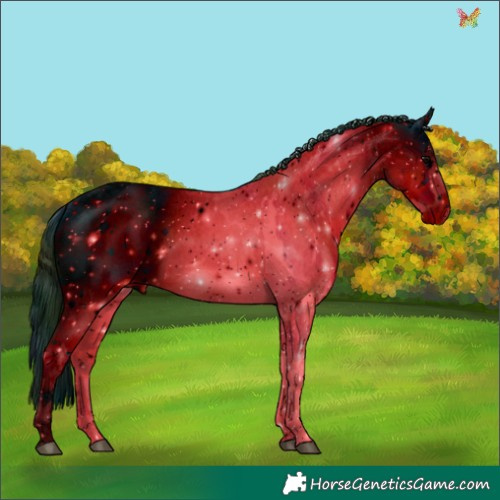 Horse Color:ERROR: UNKNOWN ANOMALY