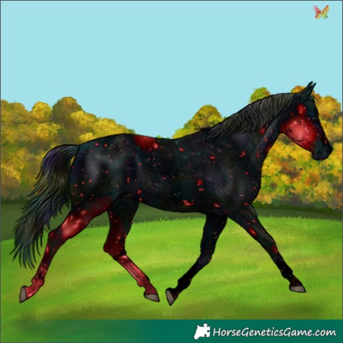 Horse Color:ERROR: UNKNOWN ANOMALY