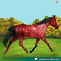 Horse Color:ERROR: UNKNOWN ANOMALY