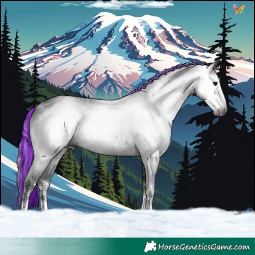 Horse Color:Gray Painted White Spotted Brown 