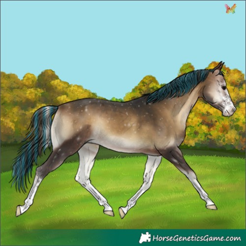 Horse Color:Painted White Spotted Bay Onyx 