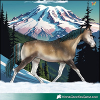 Horse Color:Painted White Spotted Bay Onyx 