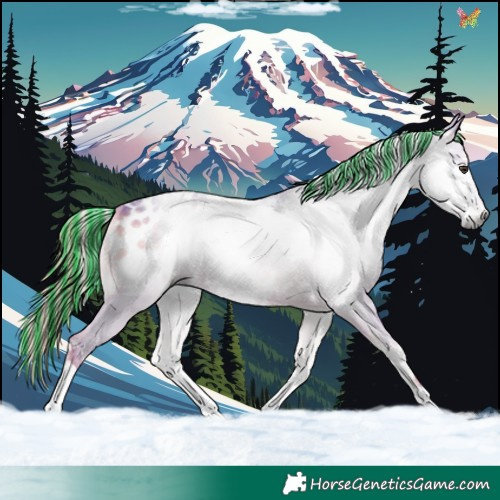 Horse Color:Gray Painted Watercolor White Spotted Liver Red Onyx Blanket 