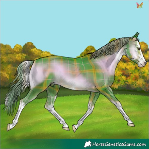 Horse Color:Watercolor Plaid  White Spotted Liver Red Onyx 