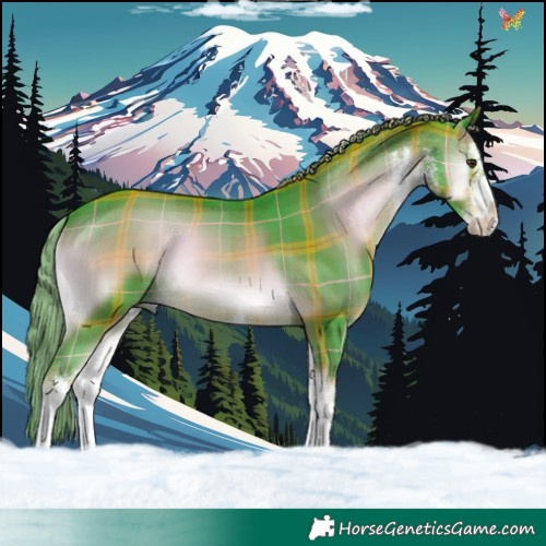 Horse Color:Watercolor Plaid  White Spotted Liver Red Onyx 