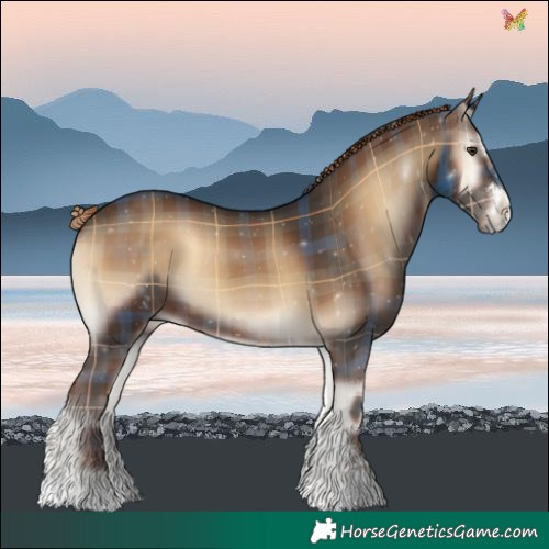 Horse Color:Plaid  Liver Red Onyx 