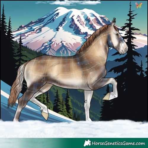 Horse Color:Plaid  Liver Red Onyx 