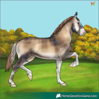 Horse Color:Plaid  Liver Red Onyx 