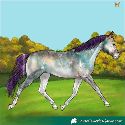 Horse Color:Painted Brown Onyx Sabino 
