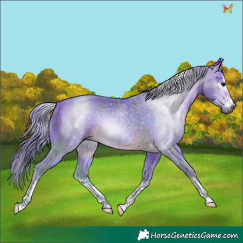 Horse Color:Gray Watercolor Plaid  Buckskin 