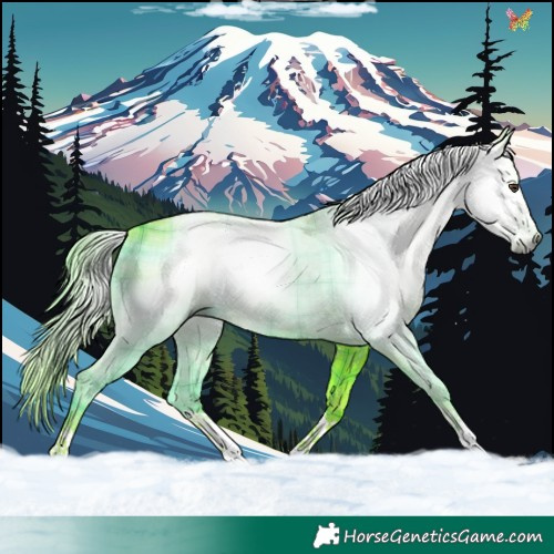 Horse Color:Gray Watercolor Plaid  Liver Chestnut 