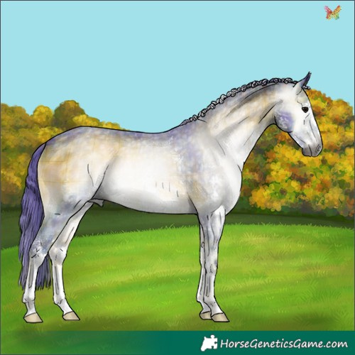 Horse Color:Gray Watercolor Plaid  Brown Onyx Sabino 