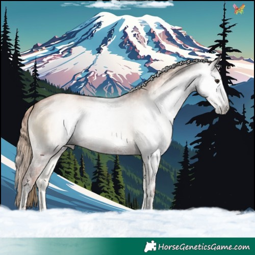 Horse Color:Gray Plaid  Liver Red Onyx Pearl Sabino 