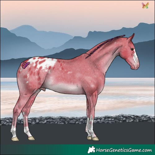 Horse Color:Painted Watercolor Liver Chestnut Varnish 