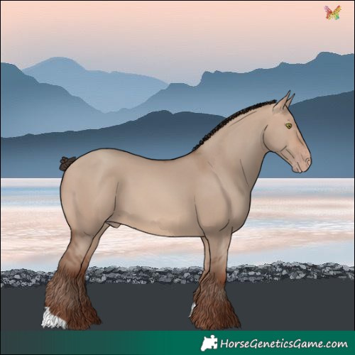 Horse Color:Sable Champagne Dun 