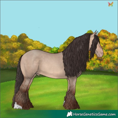 Horse Color:Sable Champagne Dun 