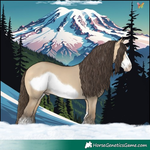Horse Color:Sable Cream Champagne Dun Sabino Frame 