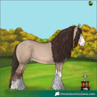 Horse Color:Sable Champagne Dun Sabino 