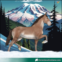 Horse Color:Classic Champagne 