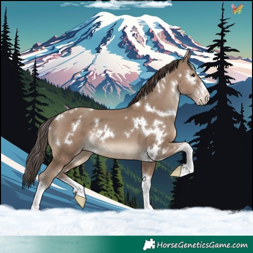 Horse Color:White Spotted Classic Champagne 
