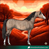 Horse Color:Brown Dun  and Brown Dun 