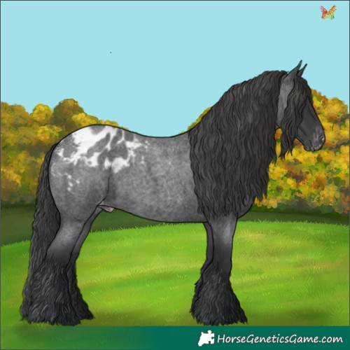 Horse Color:Blue Roan Blanket 