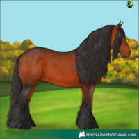 Horse Color:Bay 