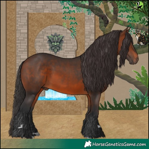 Horse Color:Brown 