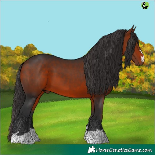Horse Color:Brown 