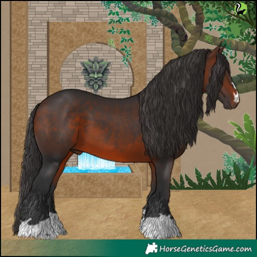 Horse Color:Brown 