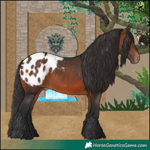 Horse Color:Brown Blanket 