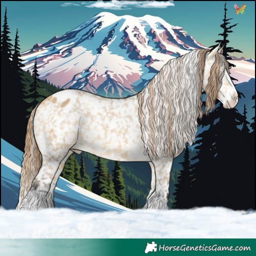 Horse Color:Buckskin Dun Splash Appaloosa 
