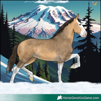 Horse Color:Buckskin Dun Splash 