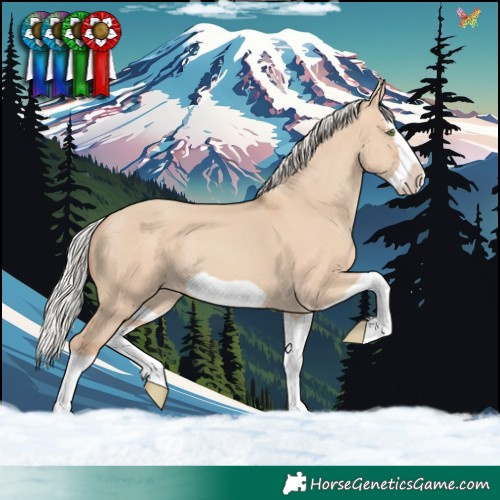 Horse Color:Silver Classic Champagne Dun Splash Frame 