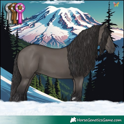 Horse Color:Smoky Grullo 