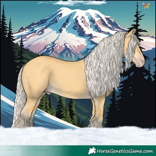 Horse Color:Silver Amber Cream Champagne Dun 