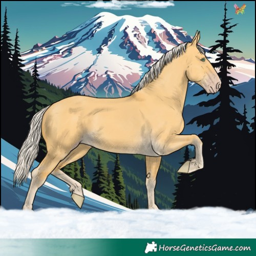 Horse Color:Silver Amber Cream Champagne Dun 