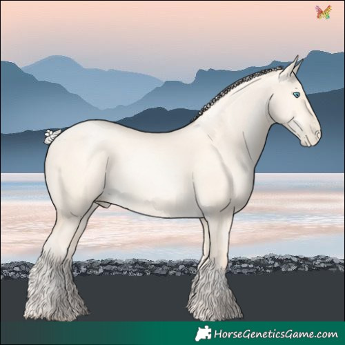 Horse Color:Silver Classic Cream Champagne Pearl Dun 