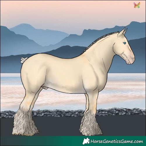 Horse Color:Silver Classic Cream Champagne Dun 