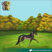 Horse Color:White Spotted Liver Chestnut 