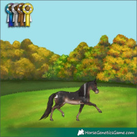 Horse Color:White Spotted Liver Chestnut