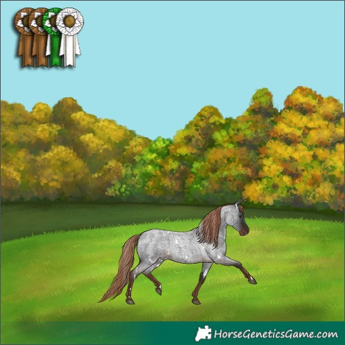 Horse Color:White Spotted Liver Red Roan 