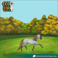Horse Color:White Spotted Liver Red Roan