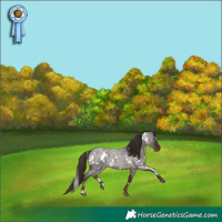 Horse Color:White Spotted Liver Red Roan 