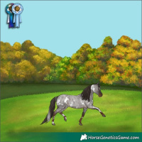 Horse Color:White Spotted Liver Red Roan