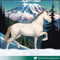 Horse Color:Buckskin Pearl Dun 