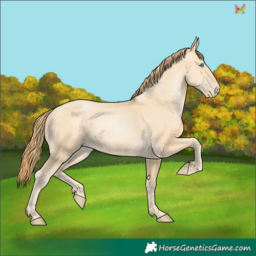 Horse Color:Buckskin Pearl