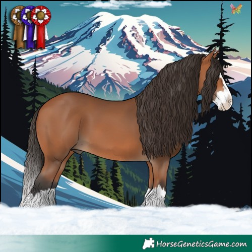 Horse Color:Bay Splash 